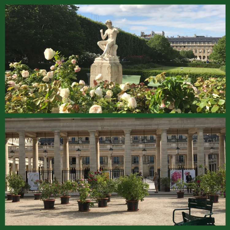 Foto 13- Jardin du Palais Royal 2